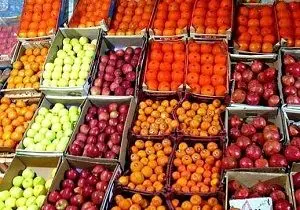 قیمت انواع میوه به صورت عمده فروشی