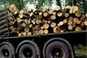 ۱۰ تن چوب جنگلی قاچاق در چهارمحال و بختیاری کشف شد 