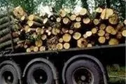 ۱۰ تن چوب جنگلی قاچاق در چهارمحال و بختیاری کشف شد 