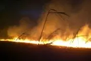 آتش سوزی گسترده زمین های کشاورزی در گنبد