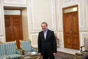 جزئیات دیدار لاریجانی با سناتور ایتالیایی