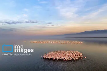 172705337_DJI_20251223163310_0171_D_MEDIDJI3