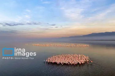 172705337_DJI_20251223163310_0171_D_MEDIDJI3