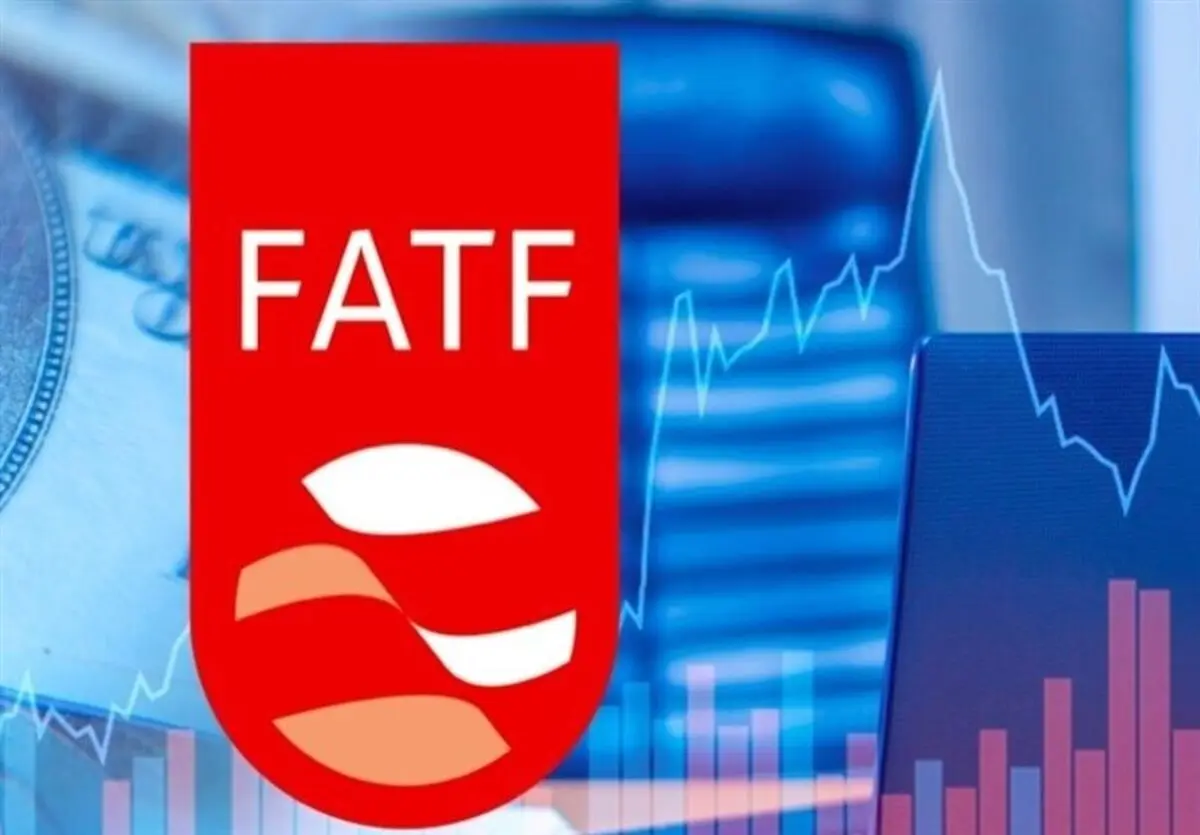  قائم‌پناه: گام مهمی برای پیوستن به FATF برداشته شد 