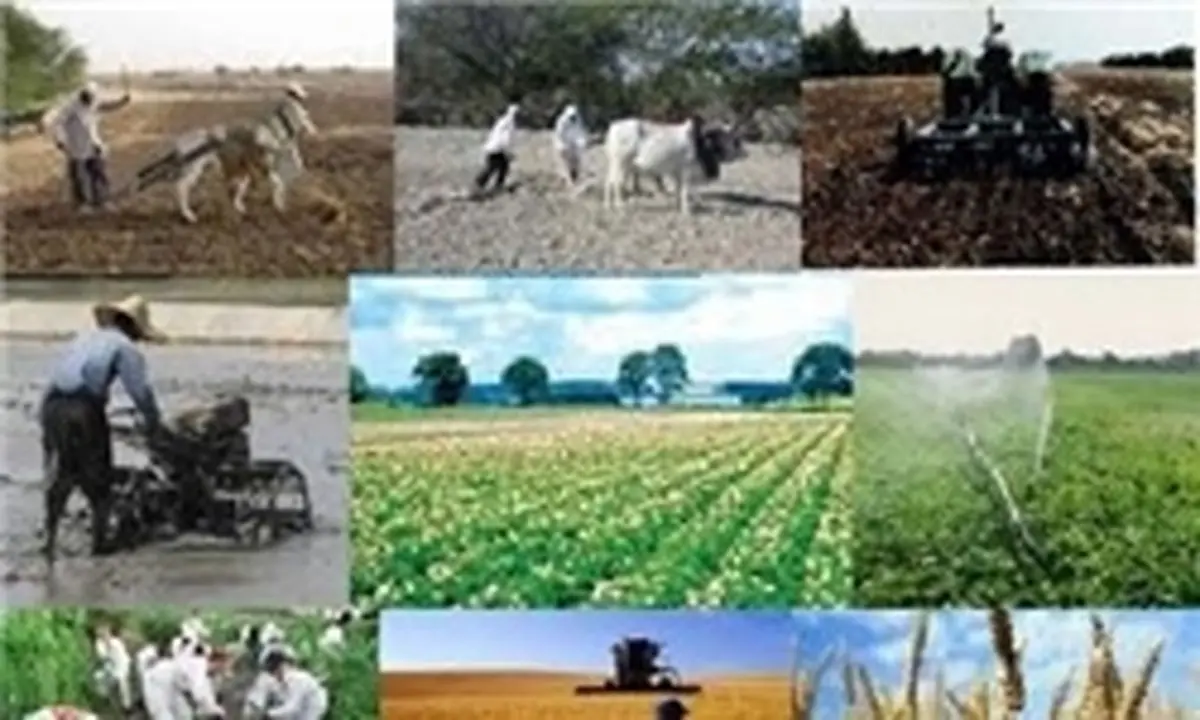 هشدار/فاجعه زیست محیطی در تهران