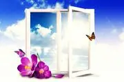 دارویی شفابخش  برای درمان دردهایتان