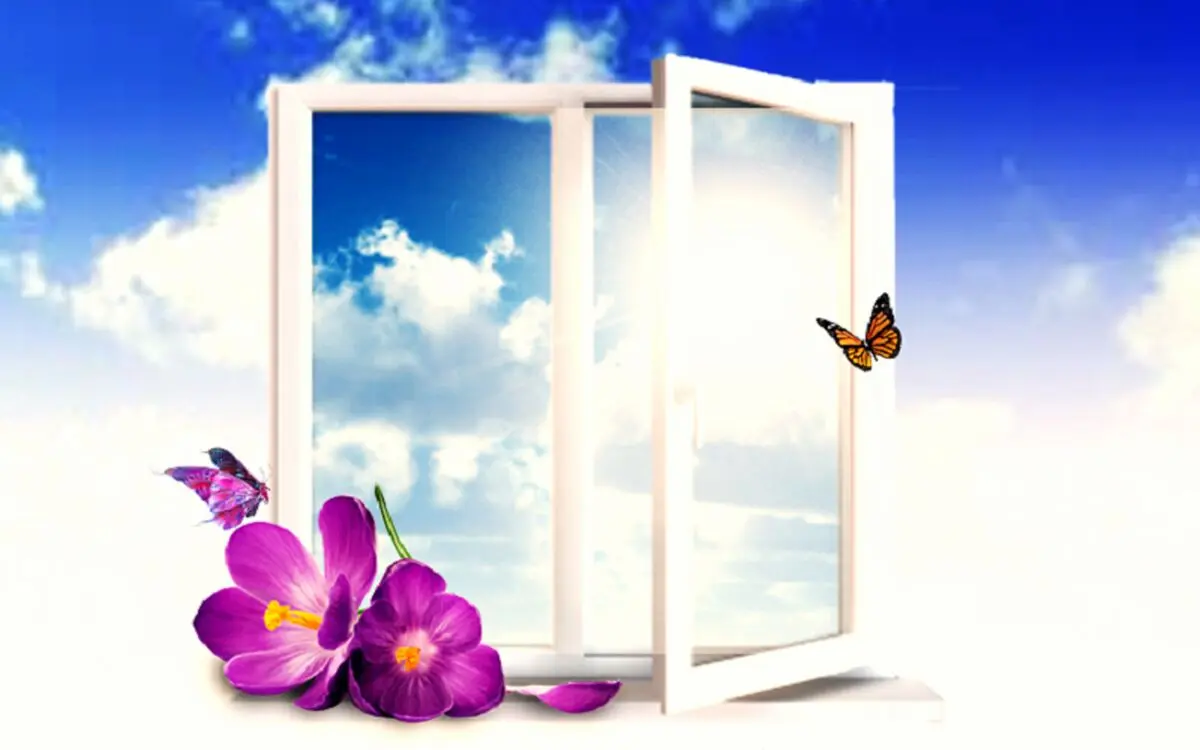 دارویی شفابخش  برای درمان دردهایتان