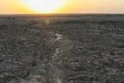 تحفه تلخ خشکی تالاب گاوخونی