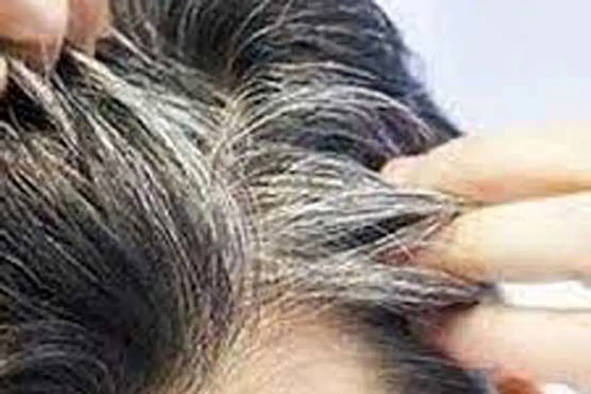 معجونی برای سیاه کردن موهای سفید!