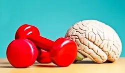عادت‌هایی برای سلامت مغز