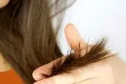 اشتباهاتی که باعث موخوره موهایتان می‌شوند