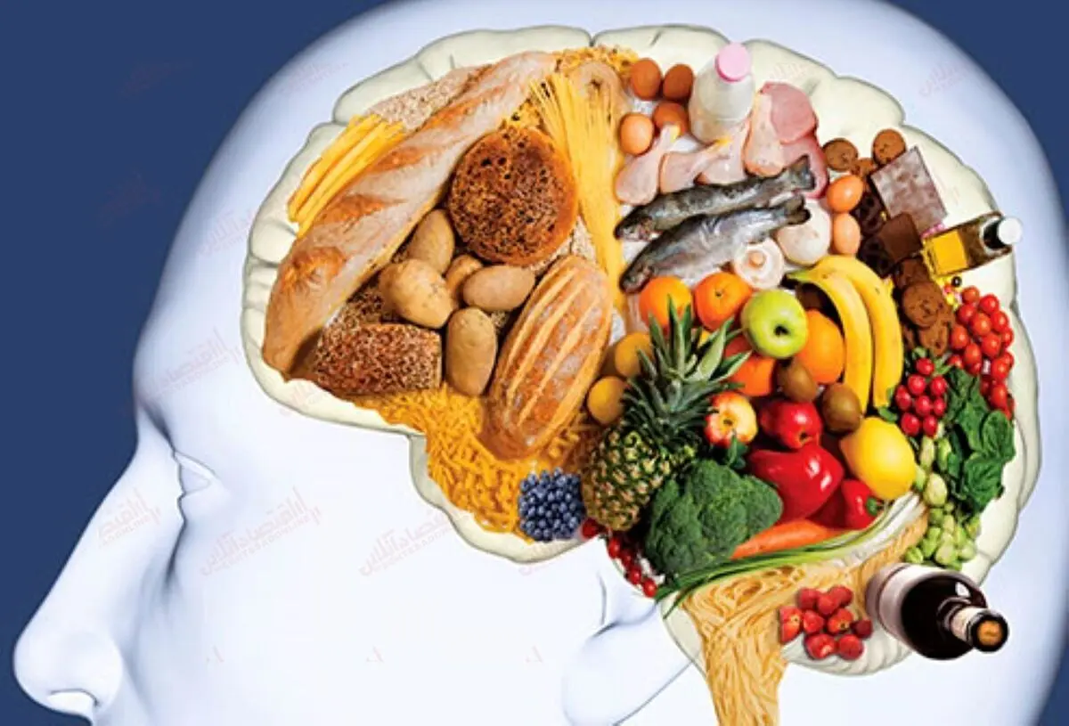 دوپینگ حافظه با این ۱۰ ماده غذایی
