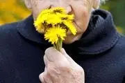 ارتباط افسردگی با کاهش حس بویایی در سالمندی 