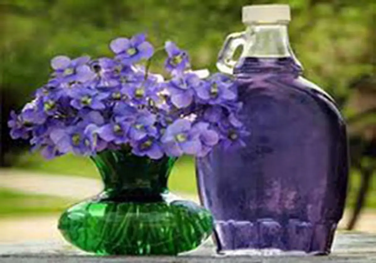 عرقیاتی که در فصل سرما، ما را گرم می‌کند
