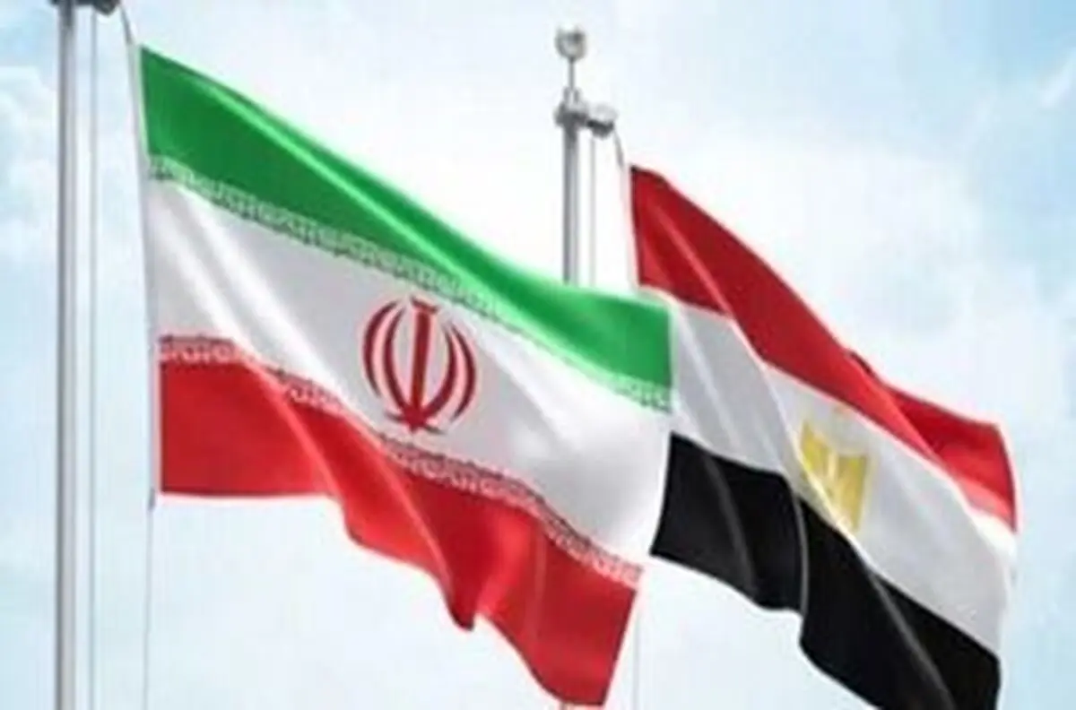 
مصر: ساز و کارهای حقوق بشر باید بر اساس گفتگو باشد
