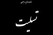 ابراز همدردی شهروندان تاجیک‌ با زلزله زدگان ایران+تصاویر