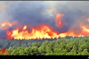خطر آتش سوزی در جنگل های شمالی کشور