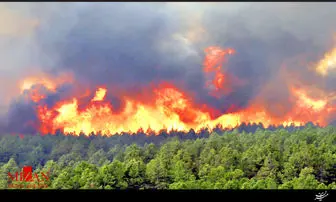 خطر آتش سوزی در جنگل های شمالی کشور