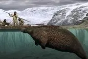 کشف لاشه گاو دریایی عجیب در روسیه
