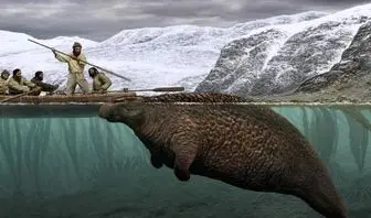 کشف لاشه گاو دریایی عجیب در روسیه