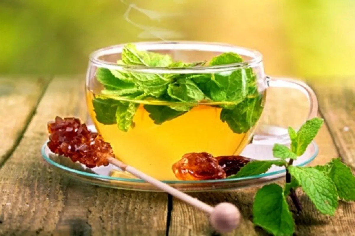 نسخه گیاهی برای رهایی از وز وز گوش
