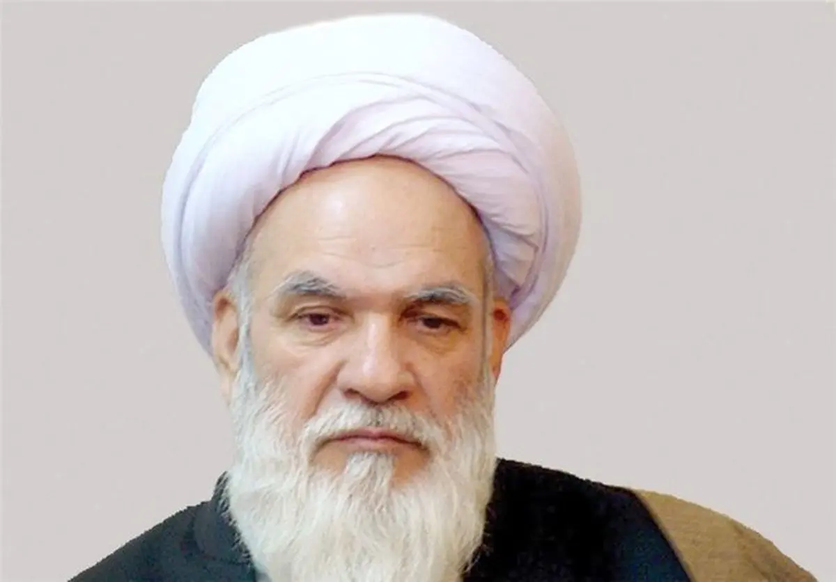 ابراهیمی: تیم مذاکرهکننده کم نمیآورد