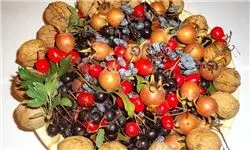 نرخ میوه در تهران و باغات قابل قبول نیست