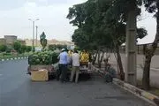 اجرای طرح رفع سدمعبر وانتی‌ها در 4 منطقه شهرداری