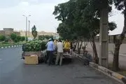 اجرای طرح رفع سدمعبر وانتی‌ها در 4 منطقه شهرداری