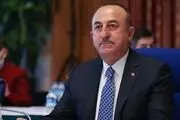 هشدار آنکارا درباره افزایش اسلام‌هراسی