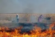 
نیم
هکتار از مزارع گندم دزفول در آتش سوخت 