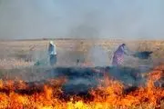 
نیم
هکتار از مزارع گندم دزفول در آتش سوخت 