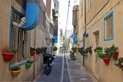 کوچه پر از گلدان در تهران/ گزارش تصویری