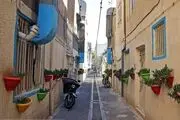 کوچه پر از گلدان در تهران/ گزارش تصویری