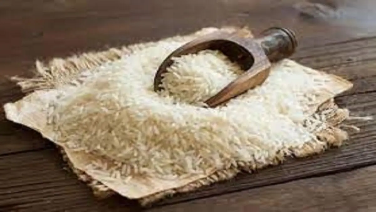 انواع برنج در بازار چند؟
