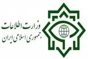 توضیح معاون وزیر اطلاعات درباره دستگیری جاسوسان آمریکایی