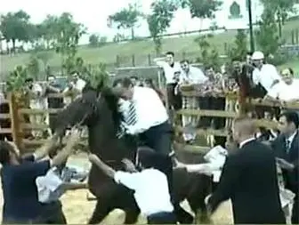 فیلم افتادن اردوغان از روی اسب