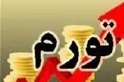 نرخ تورم در ۴ برنامه‌ ۵ ساله کشور