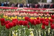 جشنواره لاله ها در بوستان شهید چمران کرج