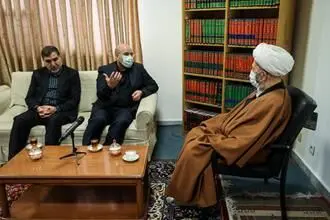 دیدار رئیس مجلس شورای اسلامی با مراجع عظام تقلید در قم/گزارش تصویری