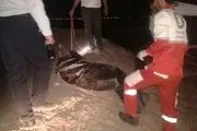 مرگ جوان زرندی در اعماق چاهی که برای شکار کبوتر رفته بود