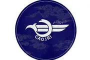 پروازهای داخلی و خارجی ایران فعلا متوقف شد