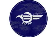 پروازهای داخلی و خارجی ایران فعلا متوقف شد