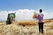 روزگار ناکوک کشاورزان خمین دوباره از سر گرفته شد