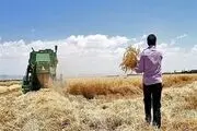 روزگار ناکوک کشاورزان خمین دوباره از سر گرفته شد