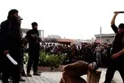 ابومقاتل داعشی به هلاکت رسید 