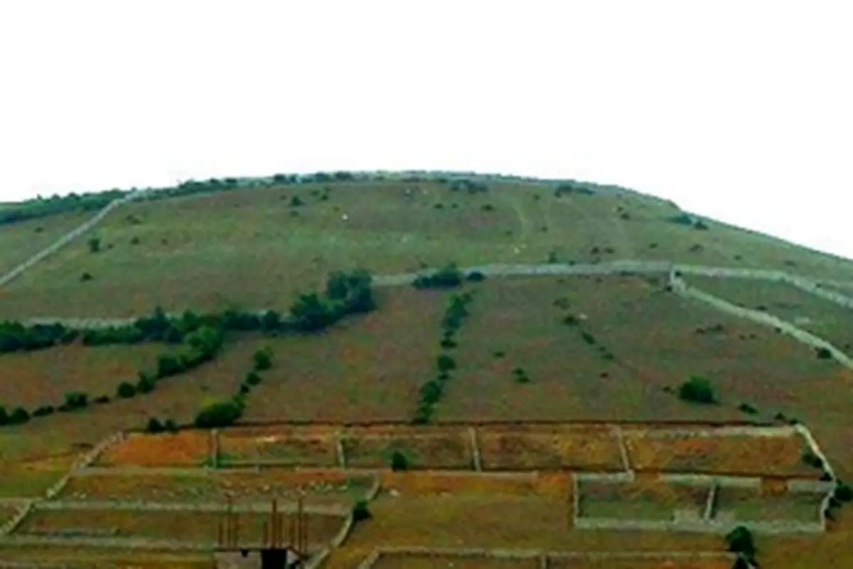 زمین‌خواری در سال ۹۳ به کجا رسید؟