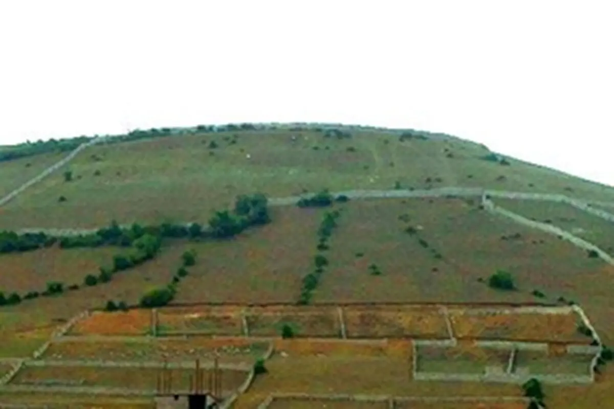 زمین‌خواری در سال ۹۳ به کجا رسید؟