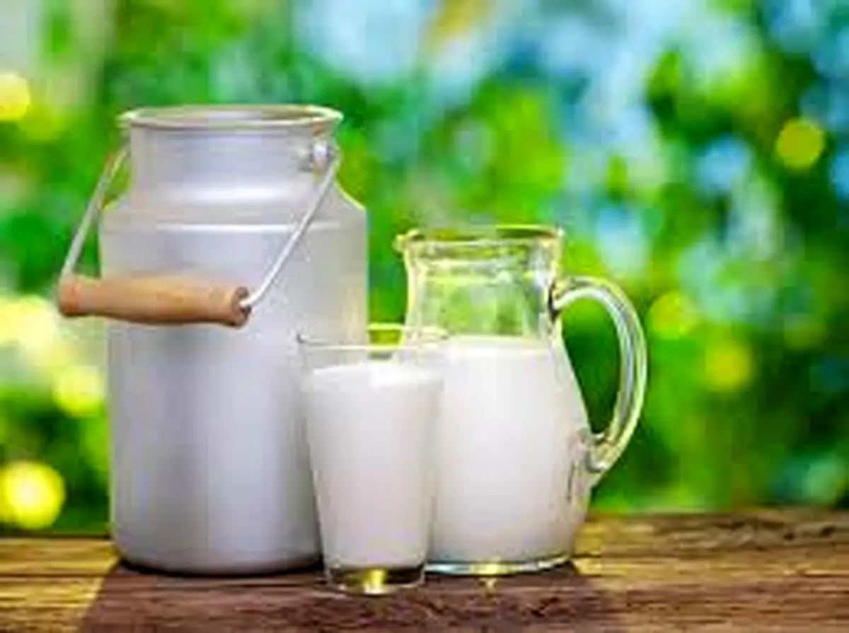 روزی یک لیوان شیر بخورید