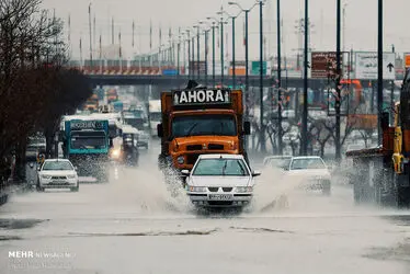 3394250_IMG_1312